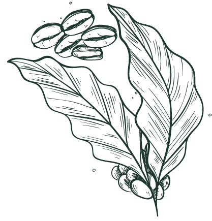 deco